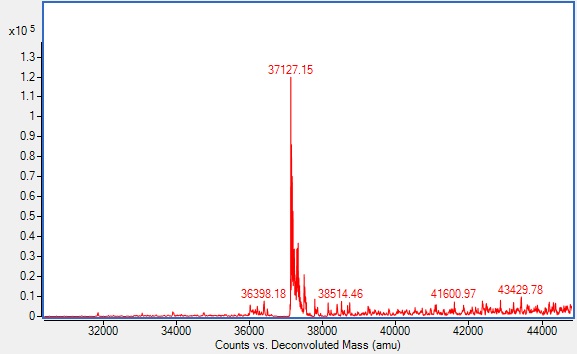 Mass Spectrometry - Recombinant Human TPOR/MPL protein (AB310804), expandable thumbnail