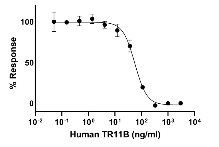 Functional Studies - Recombinant Human TR11B Protein (Active) (AB287918)