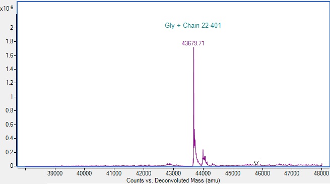 Mass Spectrometry - Recombinant Human TR11B Protein (Active) (AB287918), expandable thumbnail