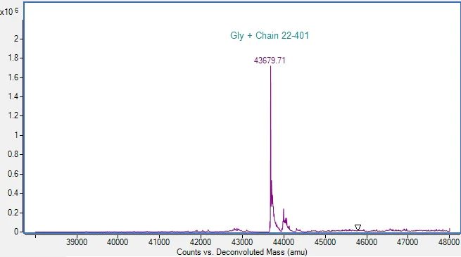 Mass Spectrometry - Recombinant Human TR11B Protein (Active) (AB287918)