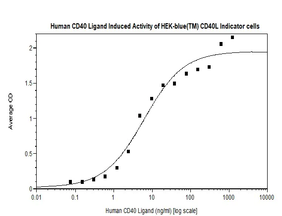Functional Studies - Recombinant human TRAP/CD40L protein (Active) (AB269164)