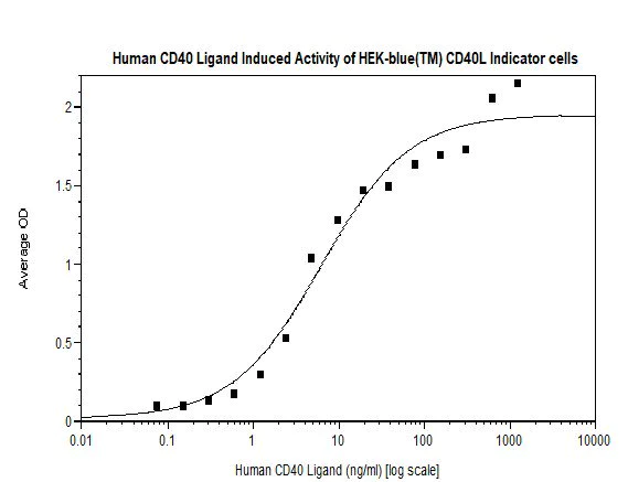 Functional Studies - Recombinant human TRAP/CD40L protein (Soluble, Animal Free) (AB179625)