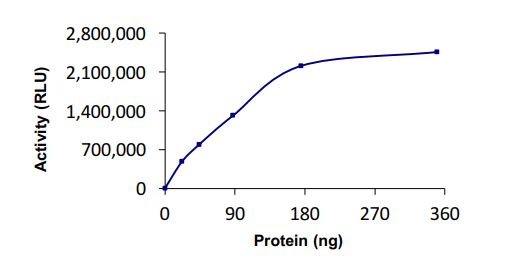 Functional Studies - Recombinant human TRIM37/MUL protein (Active) (AB269066)