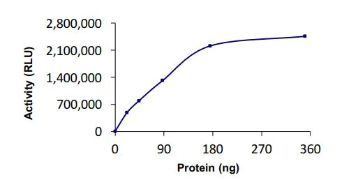 Functional Studies - Recombinant human TRIM37/MUL protein (Active) (AB269066)