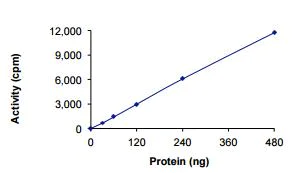 Functional Studies - Recombinant human TRIO protein (Active) (AB217836)