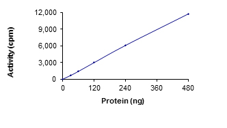 Functional Studies - Recombinant human TRIO protein (Active) (AB217836)