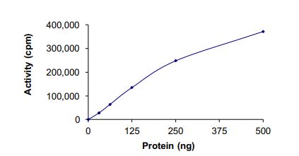 Recombinant human TrkA (mutated A608D) protein (Active)