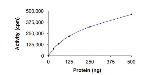 Recombinant human TrkA (mutated F589L) protein (Active)