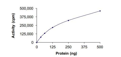 Functional Studies - Recombinant human TrkA (mutated F589L) protein (Active) (AB269068)