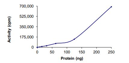 Recombinant human TrkA (mutated G595R + G667A) protein (Active)