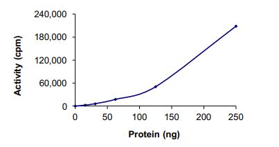 Recombinant human TrkA (mutated G595R + G667C) protein (Active)