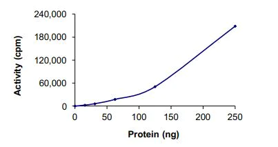 Functional Studies - Recombinant human TrkA (mutated G595R + G667C) protein (Active) (AB269071)