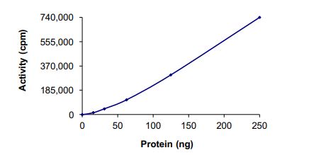 Recombinant human TrkA (mutated G595R + G667S) protein (Active)