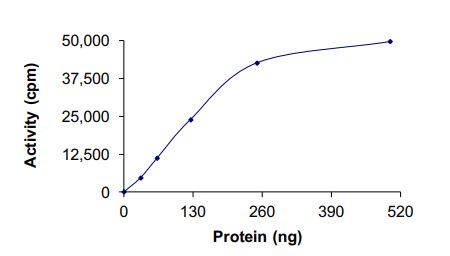 Functional Studies - Recombinant human TrkA (mutated G595R + L657M) protein (Active) (AB269073), expandable thumbnail