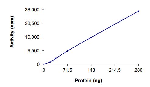 Recombinant human TrkA (mutated G595R) protein (Active)