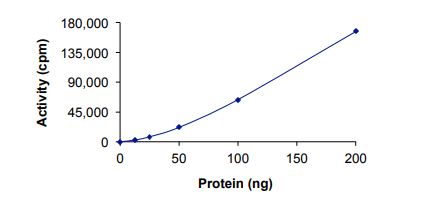 Recombinant human TrkA (mutated G667C) protein (Active)