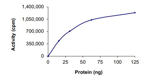 Recombinant human TrkA (mutated G667S) protein (Active)