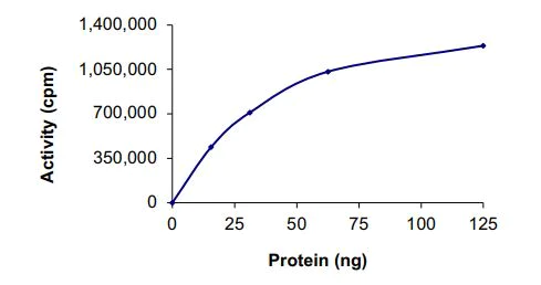 Functional Studies - Recombinant human TrkA (mutated G667S) protein (Active) (AB269077)