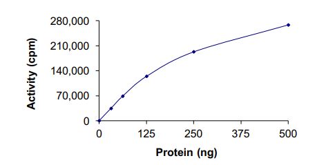 Recombinant human TrkA (mutated L657M) protein (Active)