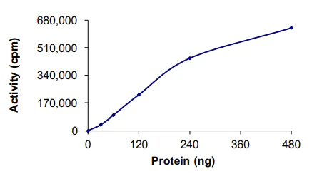 Functional Studies - Recombinant human TrkB protein (GST tag N-Terminus) (AB56652)