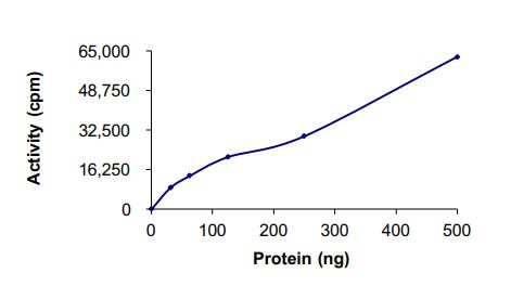 Recombinant human TrkC (mutated G623E) protein (Active)