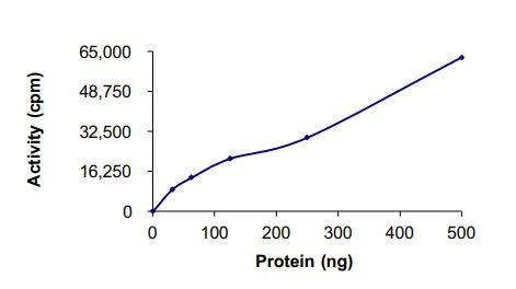 Functional Studies - Recombinant human TrkC (mutated G623E) protein (Active) (AB269079)