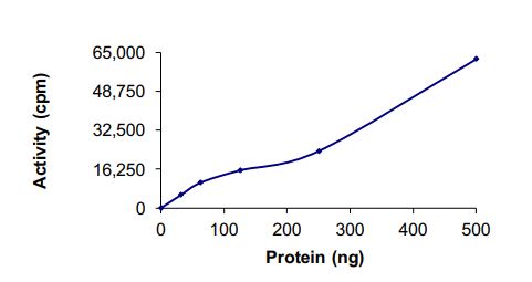 Recombinant human TrkC (mutated G623R + L686M) protein (Active)