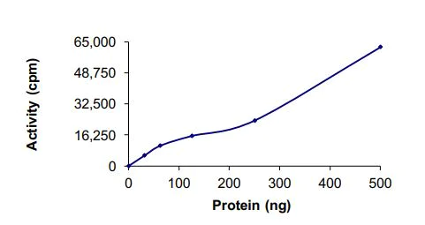 Functional Studies - Recombinant human TrkC (mutated G623R + L686M) protein (Active) (AB269080)