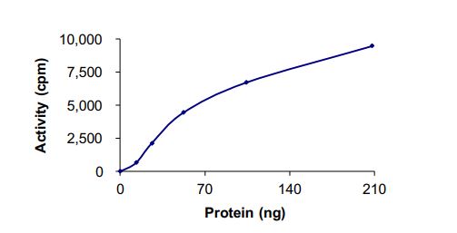 Recombinant human TrkC (mutated G623R) protein (Active)