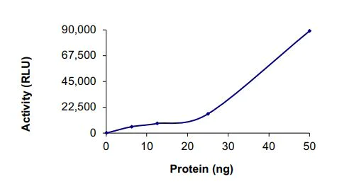 Functional Studies - Recombinant human TrkC (mutated G696C) protein (Active) (AB269083)