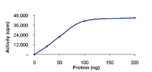 Functional Studies - Recombinant human TrkC protein (AB85274)