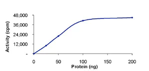 Functional Studies - Recombinant human TrkC protein (AB85274)