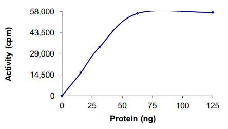 Functional Studies - Recombinant human TrkC protein (AB85274)