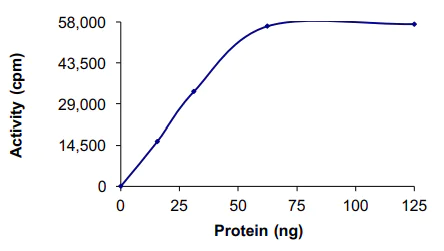 Functional Studies - Recombinant human TrkC protein (AB85274)