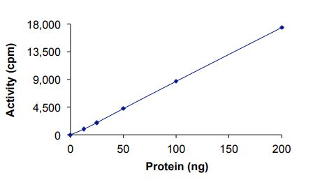 Recombinant human Tropomyosin 3 + PDGFR beta fusion protein (Active)