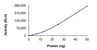 Recombinant human Tropomyosin + ALK protein fusion protein (Active)