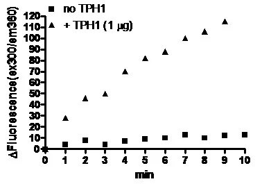 Functional Studies - Recombinant human Tryptophan Hydroxylase/TPH protein (Active) (His tag N-Terminus) (AB206448)