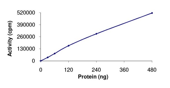 Functional Studies - Recombinant human TSSK1 protein (AB101710)