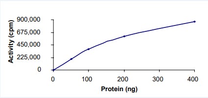 Recombinant human TSSK2 protein