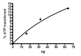 Functional Studies - Recombinant human TTBK1 protein (GST N-Terminus + His tag C-Terminus) (AB271775)