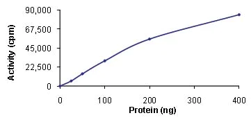 Functional Studies - Recombinant human TTK/Mps1 protein (AB89589)