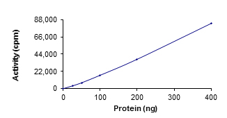 Functional Studies - Recombinant human TTK/Mps1 protein (AB89589)