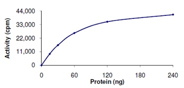 Functional Studies - Recombinant human TYK2 protein (AB125539)