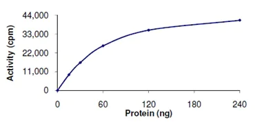 Functional Studies - Recombinant human TYK2 protein (AB125539)