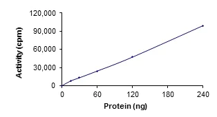 Functional Studies - Recombinant human TYK2 protein (AB125539)