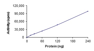 Functional Studies - Recombinant human TYK2 protein (GST tag N-Terminus) (AB125539)