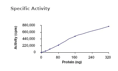 Functional Studies - Recombinant human TYRO3 protein (AB64304)
