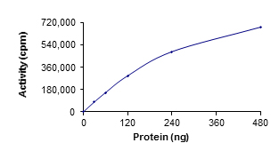 Recombinant human TYRO3 protein