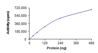 Functional Studies - Recombinant human TYRO3 protein (AB64304)