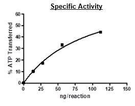 Functional Studies - Recombinant human TYRO3 protein (Active) (AB271778)